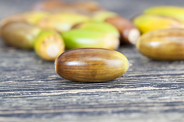 Image showing acorns of oak