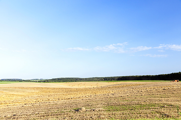 Image showing agricultural field and blue sky