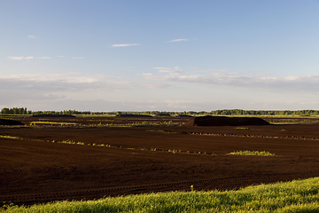 Image showing peat bog, summer