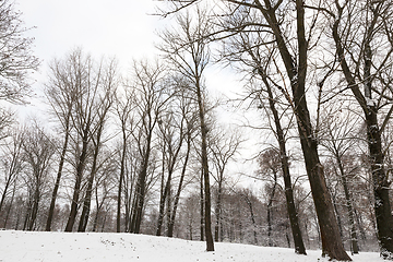 Image showing Snow drifts in winter