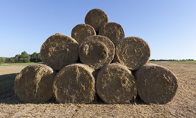 Image showing Fresh straw pyramid