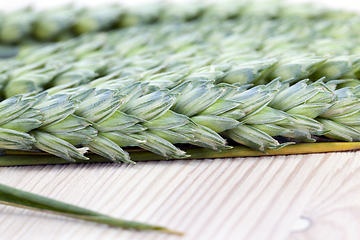 Image showing Spikelets of wheat table