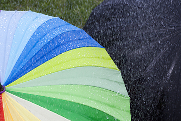 Image showing Umbrellas rain multicolored