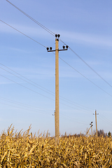 Image showing Electric post corn