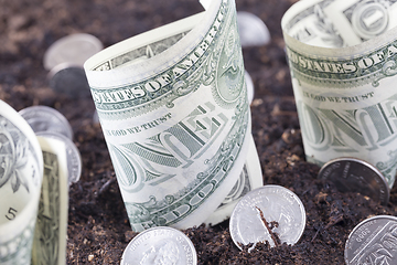 Image showing Money dollars currency in soil