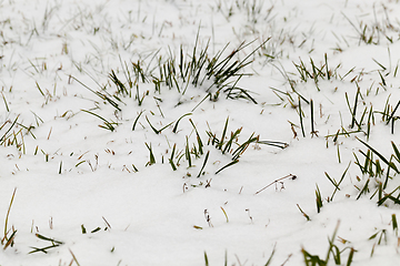 Image showing Snow drifts in winter