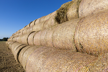 Image showing Fresh straw warehouse