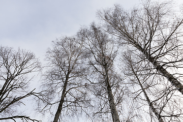 Image showing Snow drifts in winter