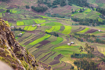 Image showing agriculture terraced fields in Ethiopia