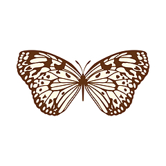 Image showing Sketch of Butterfly