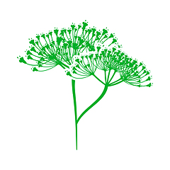 Image showing Dill Icon