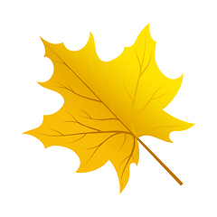 Image showing Autumn Tree Leaf