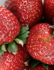 Image showing Strawberry