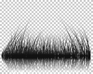 Image showing grass on water