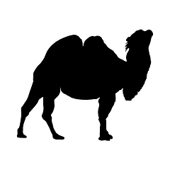 Image showing Camel Silhouette