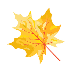 Image showing Autumn Maple Leaf