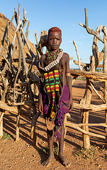 Image showing Hamar Tribe of the Omo River Valley, Southwestern Ethiopia