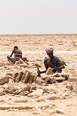 Image showing camel caravan and Afar mining salt in Danakil depression, Ethiopia