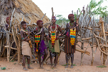 Image showing Hamar Tribe of the Omo River Valley, Southwestern Ethiopia