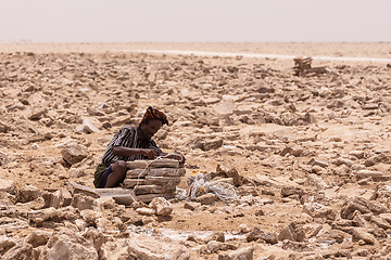 Image showing camel caravan and Afar mining salt in Danakil depression, Ethiopia