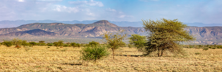 Image showing savanna in the Awash National Park, Ethiopia