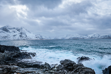 Image showing Norwegian Sea waves on rocky coast of Lofoten islands, Norway