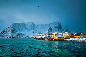 Image showing Yellow rorbu houses, Lofoten islands, Norway