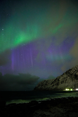 Image showing Aurora borealis northern lights. Lofoten islands, Norway