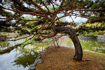 Image showing Yeouido Park in Seoul, Korea