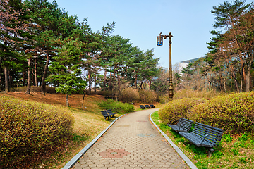 Image showing Yeouido Park in Seoul, Korea