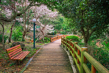 Image showing Jeju Olle Trail, Jeju Island, South Korea