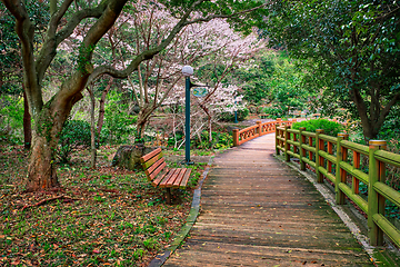 Image showing Jeju Olle Trail, Jeju Island, South Korea