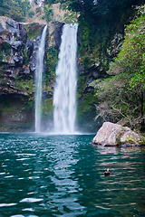 Image showing Cheonjiyeon falls, Jeju Island, South Korea