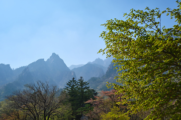 Image showing Seoraksan National Park, South Korea