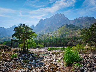 Image showing Seoraksan National Park, South Korea