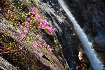 Image showing Biryong Falls watrefall