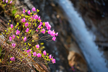 Image showing Biryong Falls watrefall