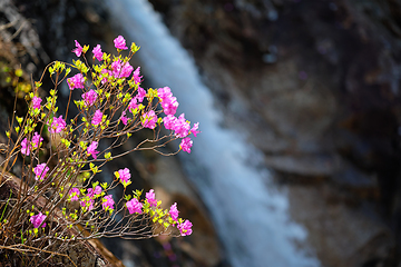 Image showing Biryong Falls watrefall