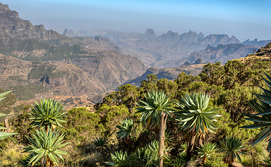 Image showing Semien or Simien Mountains, Ethiopia