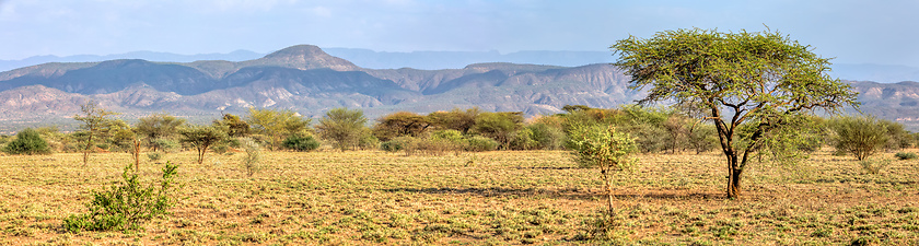 Image showing savanna in the Awash National Park, Ethiopia