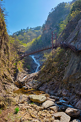 Image showing Biryong Falls watrefall