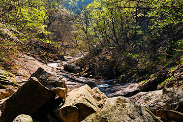 Image showing Seoraksan National Park, South Korea