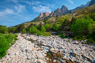 Image showing Seoraksan National Park, South Korea