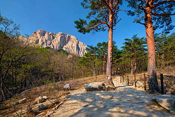 Image showing Ulsanbawi rock in Seoraksan National Park, South Korea