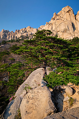 Image showing Ulsanbawi rock in Seoraksan National Park, South Korea