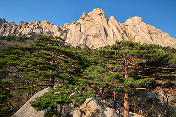 Image showing Ulsanbawi rock in Seoraksan National Park, South Korea