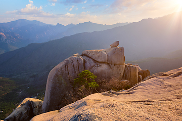 Image showing View from Ulsanbawi rock peak on sunset. Seoraksan National Park, South Corea