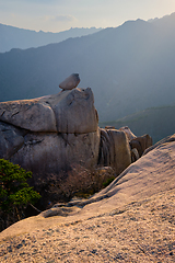 Image showing View from Ulsanbawi rock peak on sunset. Seoraksan National Park, South Corea