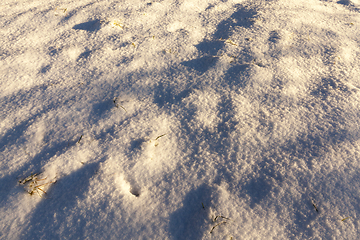 Image showing After snowfall