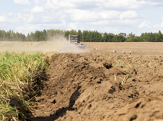 Image showing field autumn stork